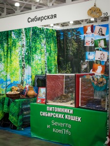 20260228_5975